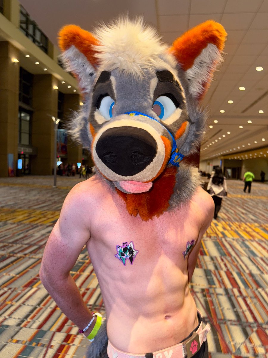 PartDoggo's tweet image. This is what I do with your stickers btw