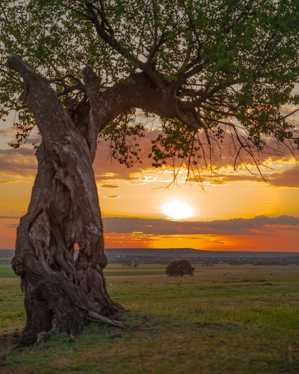 xyzwtf_55's tweet image. Sunset solitare..
#photography
#photographer
#brasovcunty 🇷🇴