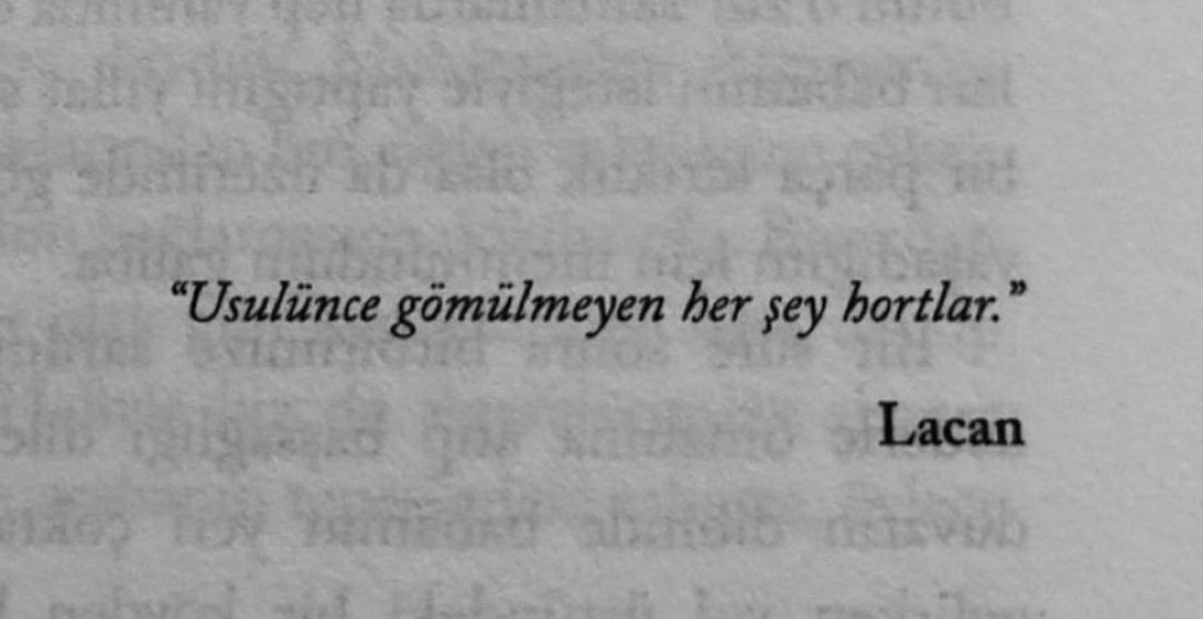 Şevger 🍁 (@knby_sevger) on Twitter photo 