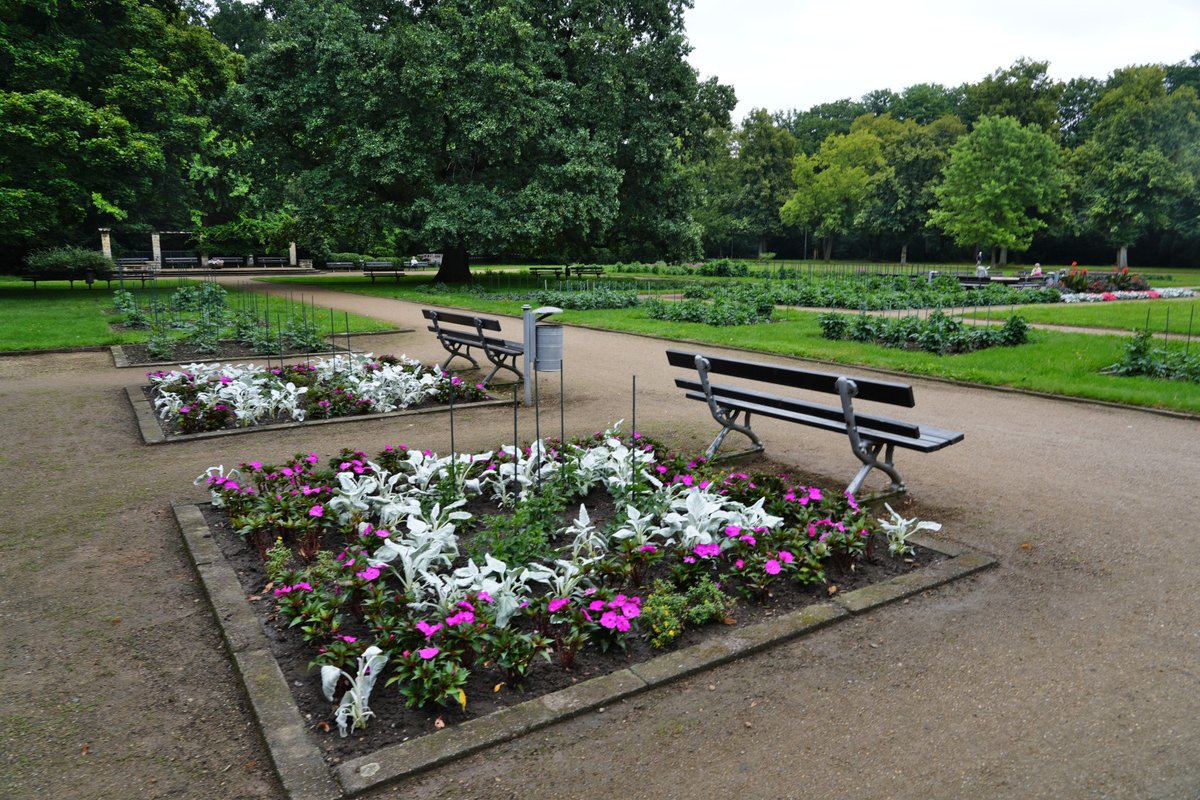 Forstler1's tweet image. Den allgemeinen Niedergang der öffentlichen Finanzen sieht man auch im Dahliengarten von Dresden, im Großen Garten gelegen. Die &quot;Anbaufläche&quot; hat sich sichtbar verkleinert, aber auch Beete mir Nicht-Dahlien wurden angelegt, auch ein zugegeben dekoratives Grün-Beet. Ich hab mal…