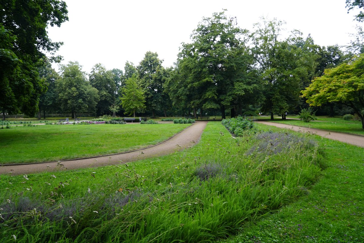Forstler1's tweet image. Den allgemeinen Niedergang der öffentlichen Finanzen sieht man auch im Dahliengarten von Dresden, im Großen Garten gelegen. Die &quot;Anbaufläche&quot; hat sich sichtbar verkleinert, aber auch Beete mir Nicht-Dahlien wurden angelegt, auch ein zugegeben dekoratives Grün-Beet. Ich hab mal…