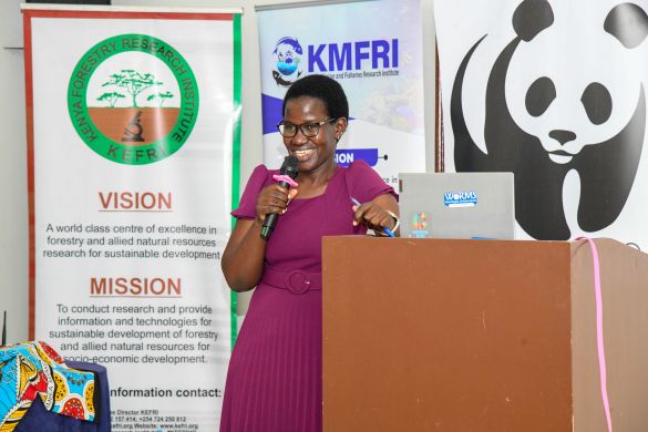 KmfriResearch's tweet image. Kenya Marine and Fisheries Research Institute (KMFRI) OFFICIAL Scientist Dr Judith Okello, who also chairs the 𝐍𝐚𝐭𝐢𝐨𝐧𝐚𝐥 𝐌𝐚𝐧𝐠𝐫𝐨𝐯𝐞 𝐌𝐚𝐧𝐚𝐠𝐞𝐦𝐞𝐧𝐭 𝐂𝐨𝐦𝐦𝐢𝐭𝐭𝐞𝐞 (NMCC), delivered a presentation on the establishment, 𝐦𝐢𝐥𝐞𝐬𝐭𝐨𝐧𝐞𝐬, and challenges of…