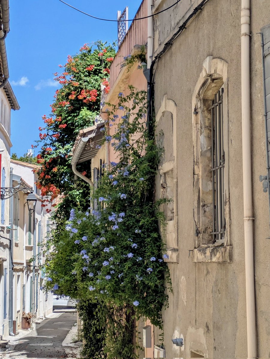 Myrthios13's tweet image. 😍👍😍
😍👍😍
😍👍😍
😍👍😍

Empruntons les raccourcis ….par les ruelles Arlésiennes 😉😉😉

🤗🤗🤗