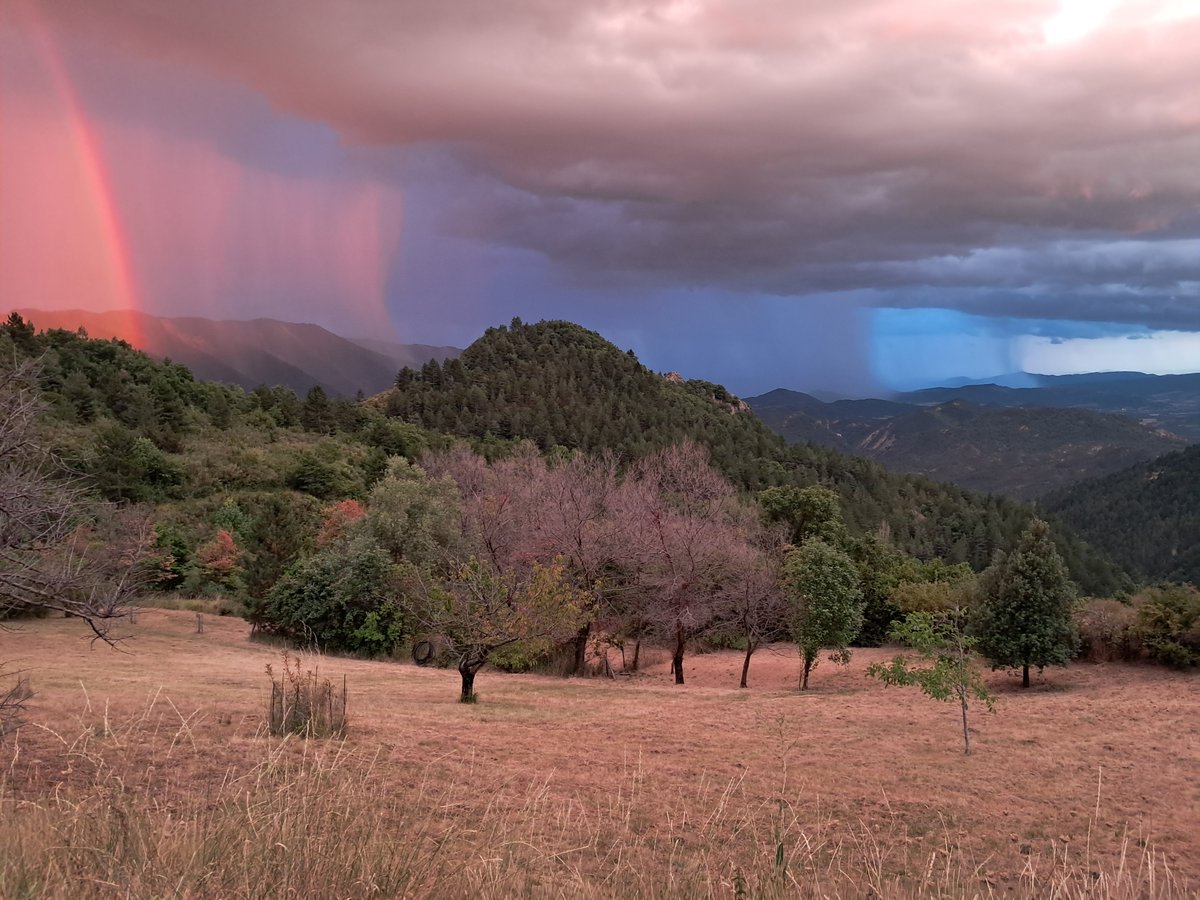 Philippe2244's tweet image. La nature nous a offert un spectacle hier soir à l'Estachon, pendant l'apéritif que nous prenions tranquillement chez nos voisins. La pluie tombait au loin en prenant différentes couleurs, rouge au-dessus de la vallée du Vançon, gris bleu sur la vallée de la Durance et bleu clair…