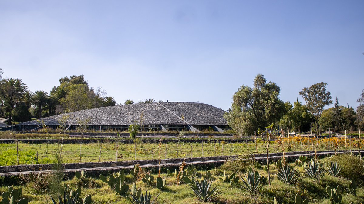 Centro de Cultura Ambiental Chapultepec🌎

Descubre este espacio donde conocerás y te sorprenderás con la biodiversidad del gran Bosque; disfrutarás de los paisajes en sus jardines temáticos y actividades culturales.😍🌳

📍Av. de los Compositores, II Sección del Bosque, CDMX.