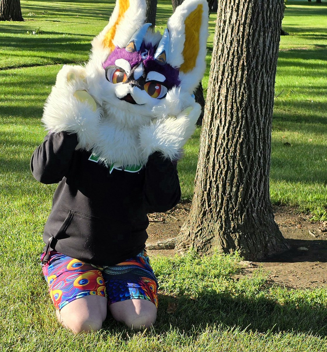 RykerKemono's tweet image. I&apos;m just a little guy :3