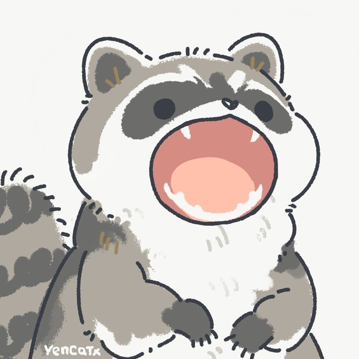 ShouldHaveRacc's tweet image. 