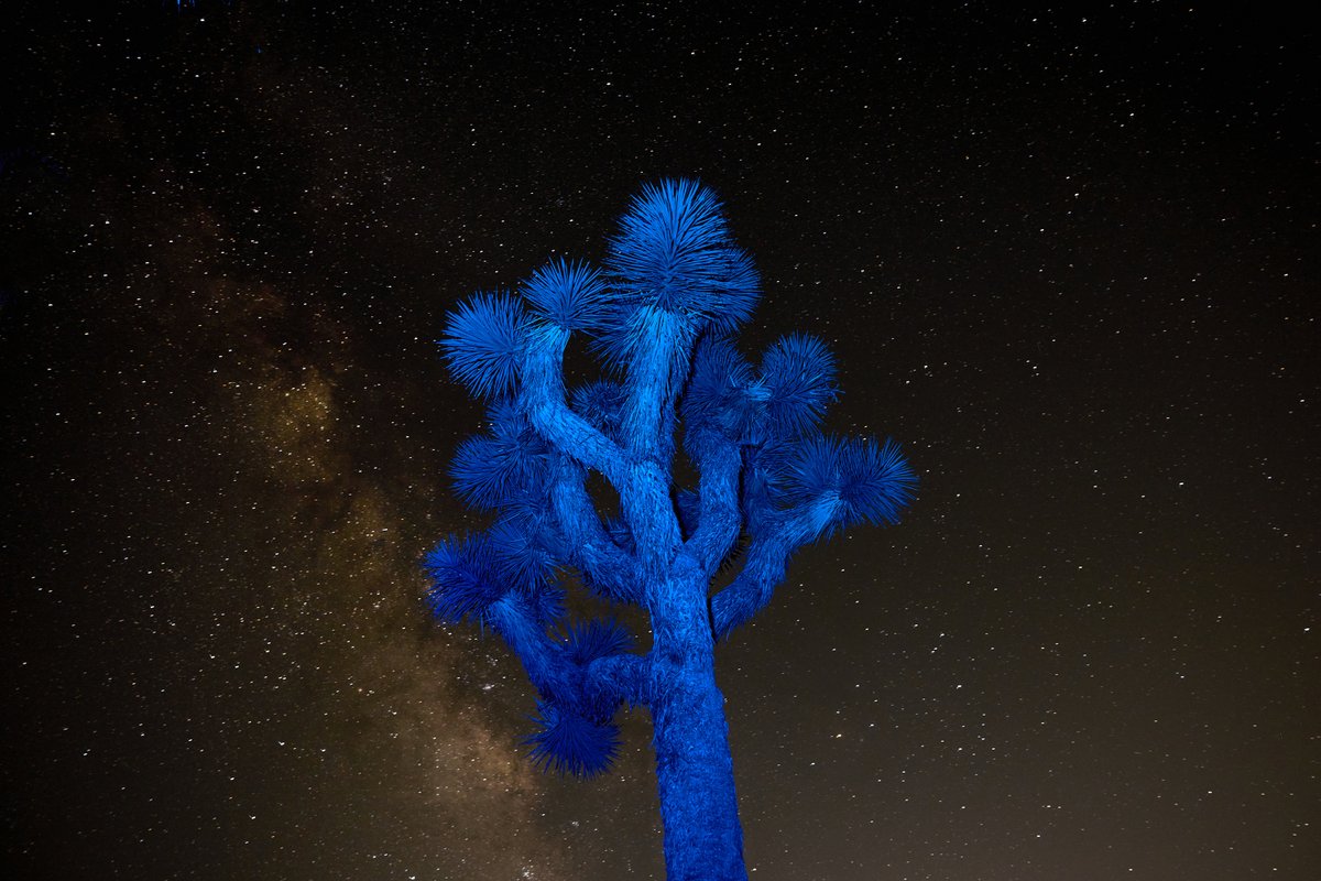 CyberBagChaser's tweet image. Desert camo, deep space vibes.
🌌⚡ #Cybertruck #StarlitDrive #FutureTerrain #TeslaNights #joshuatree