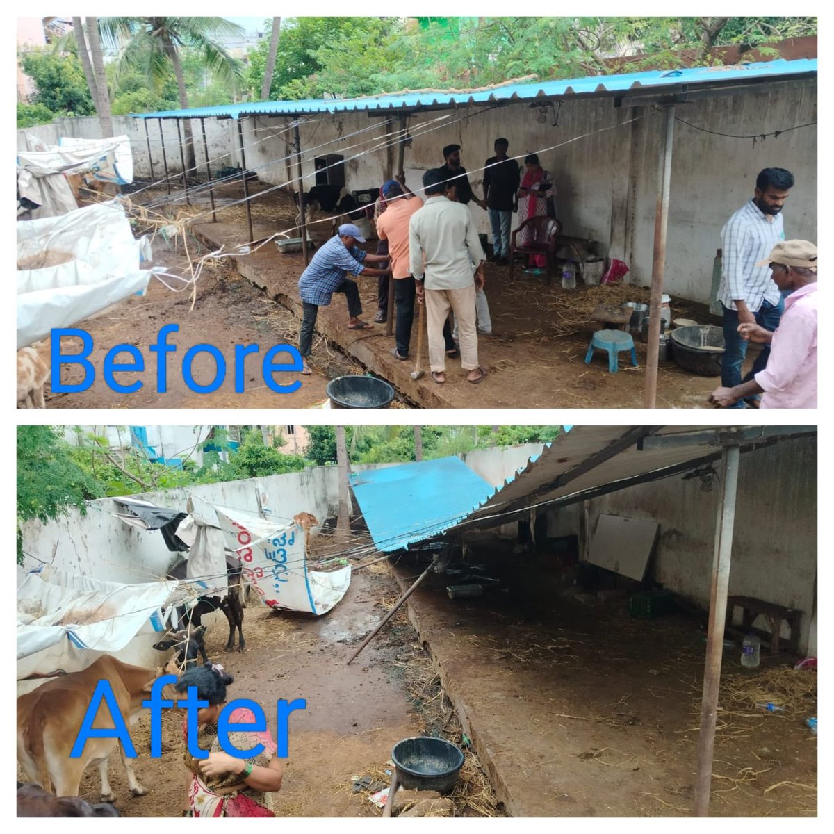 నగరంలోని లే అవుట్‌లలో అక్రమంగా ఆక్రమించబడిన ఓపెన్ స్పేస్‌లను తిరిగి ప్రజలకిచ్చే దిశగా GVMC "ఆపరేషన్ LUNGS" (LIFE to Urban Green Spaces) విజయవంతంగా కొనసాగుతోంది.

👉 15 రిజర్వు ఓపెన్ స్పేస్‌లలో ఆక్రమణలు తొలగింపు
👉 జోన్ 1 నుంచి జోన్ 6 వరకు విస్తృత కార్యచరణ
👉 పోలీసు మరియు అన్ని