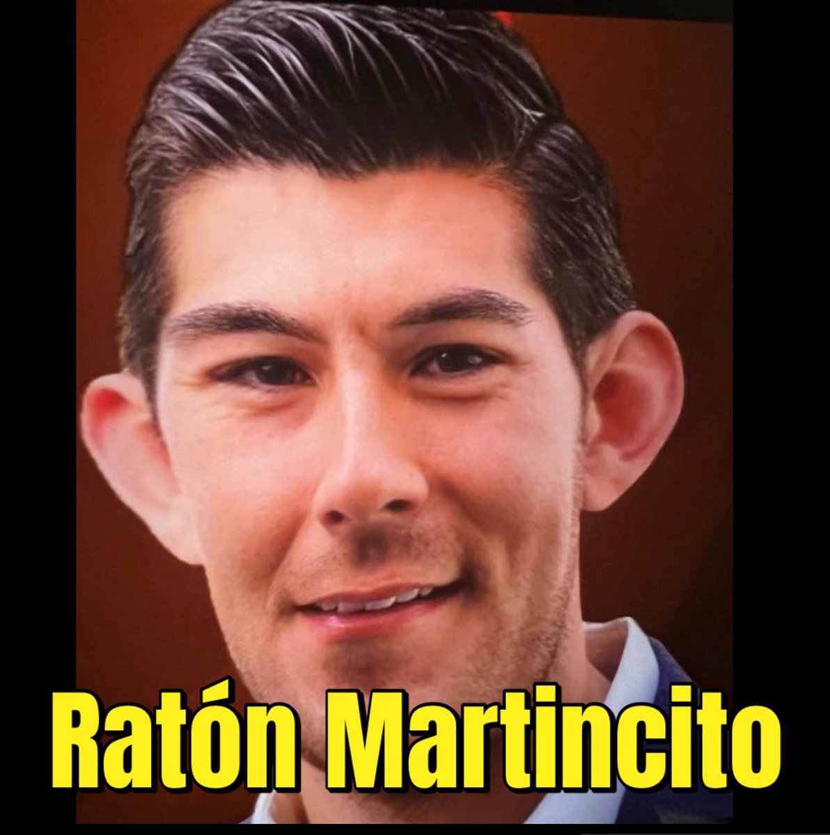 FernandovichG's tweet image. Del cártel de la prensa sicaria tenemos al peligroso #RatonMartincito ‼️
#PrensaSicaria