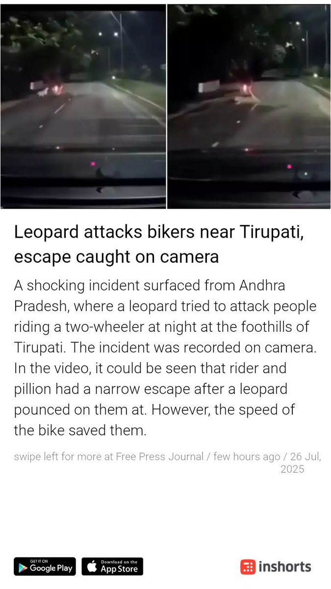 Chandu1302's tweet image. అరేయ్, వర్సగా నిల్చుని గుంజీలు తీండ్రా, మీరంతా!
అప్పట్లో మా ఎవ్వనుడుగారీ ప్రమాదాలకు విరుగుడుగా తలో కర్రో బొంగో ఉచితంగా ఇస్తే, బొంగులో కర్రలు, మాకెందుకంటిరే!? ఇప్పుడా కర్రుచ్చుకు నాలుగు పీకుంటే ఈ లియోపార్డు పార్డన్డనాడన్ మీ సార్ అని ఏడ్చుకుపోయేది కాదూ? 👿
shrts.in/GGYTp