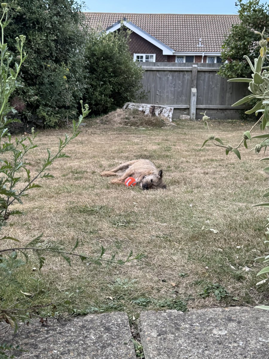 Exorstin bozniss dis olibobs…..