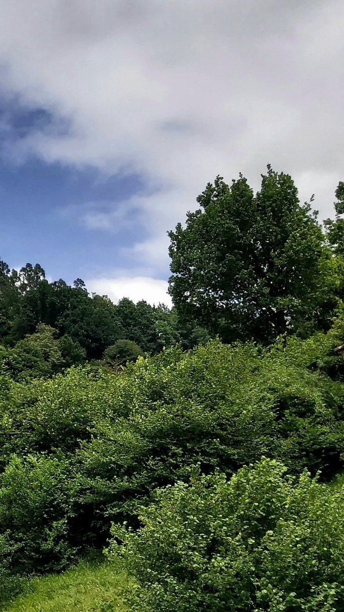 Transcurre la Tarde entre mortecinos colores Mundo. Esperamos que toda os esté siendo Feliz...🧚‍♂️🕶