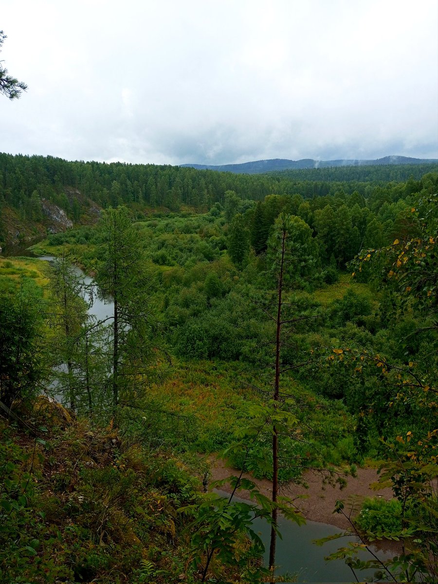 samdieliro's tweet image. уух