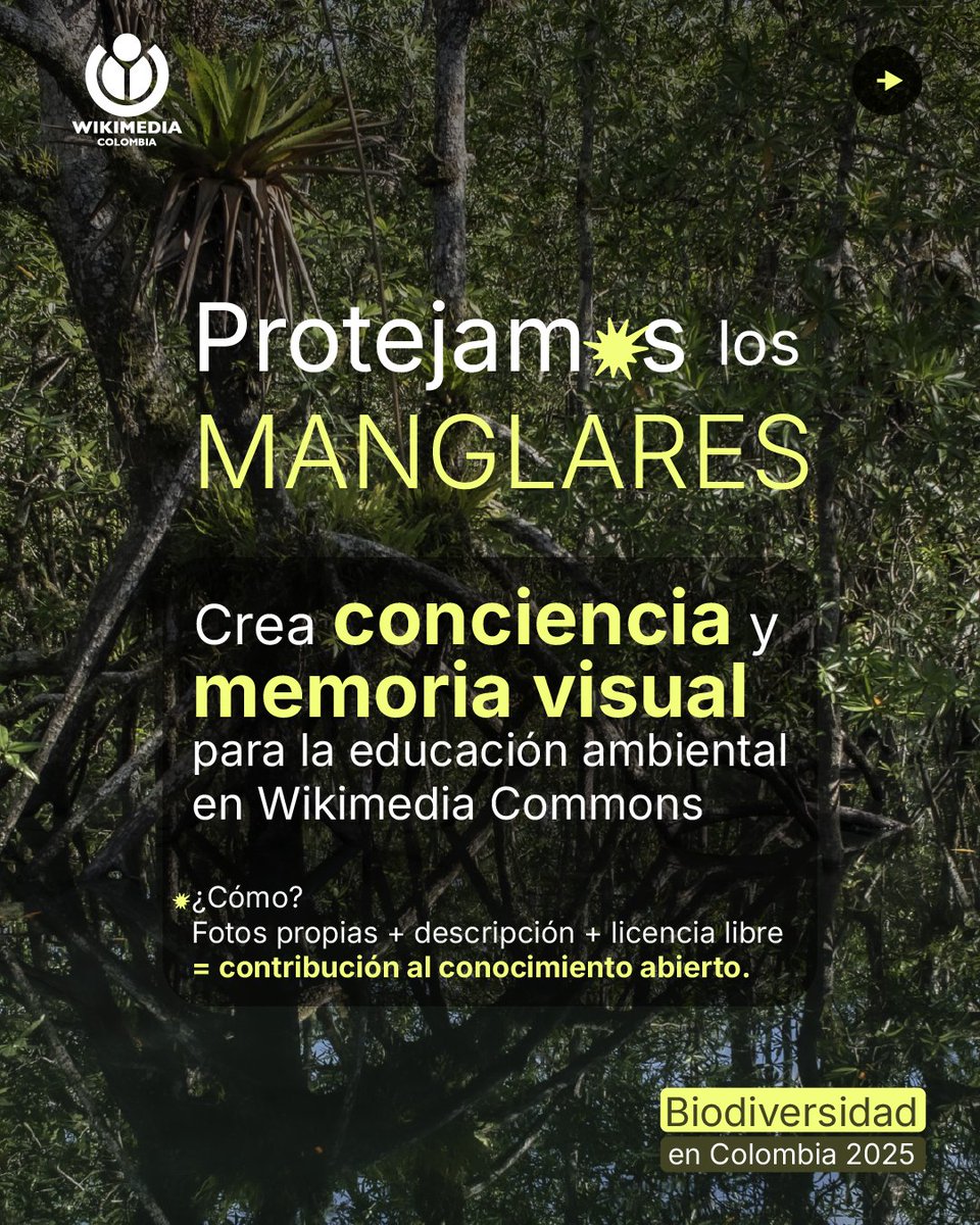 📷 Tu foto puede proteger un ecosistema
Los manglares protegen nuestras costas, albergan cientos de especies y sostienen medios de vida. Sube tus fotos: bit.ly/BIODIVERSIDAD2… ¿No sabes cómo hacerlo?

📗 Consulta la guía: bit.ly/GUIABiodiversi…