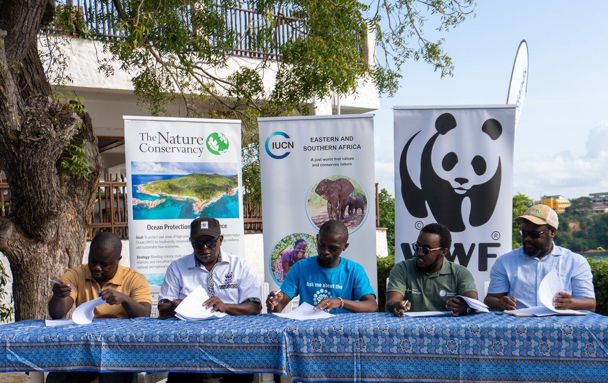 WWF_Kenya's tweet image. Kenya Unites for Mangroves: A New Chapter Begins
WWF-Kenya has partnered with IUCN, Conservation International, The Nature Conservancy, and Wetlands International Eastern Africa to establish the Global Mangrove Alliance – Kenya Chapter.
Through this new alliance, we aim to:
🌱…
