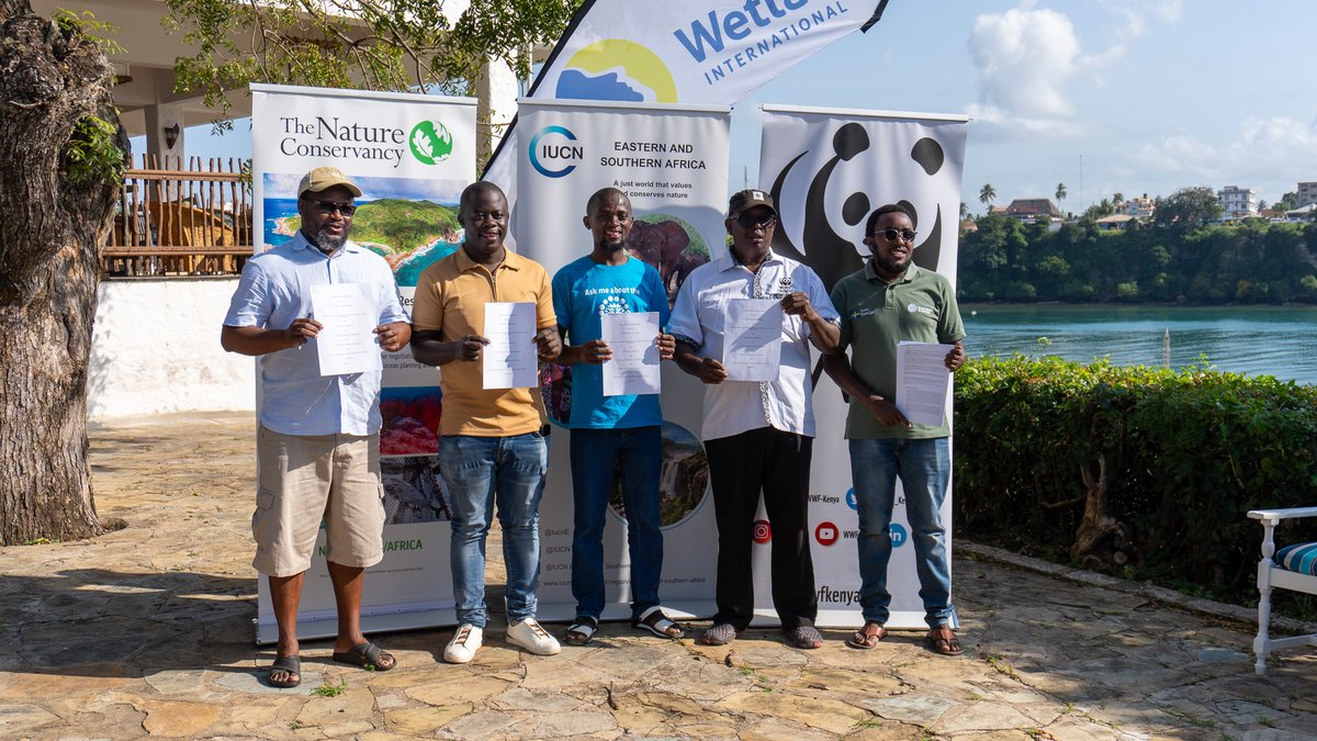 WWF_Kenya's tweet image. Kenya Unites for Mangroves: A New Chapter Begins
WWF-Kenya has partnered with IUCN, Conservation International, The Nature Conservancy, and Wetlands International Eastern Africa to establish the Global Mangrove Alliance – Kenya Chapter.
Through this new alliance, we aim to:
🌱…
