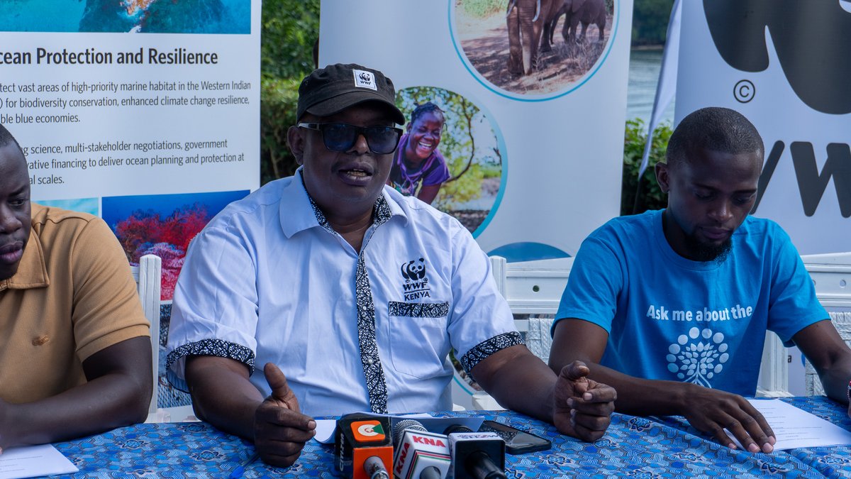 WWF_Kenya's tweet image. Kenya Unites for Mangroves: A New Chapter Begins
WWF-Kenya has partnered with IUCN, Conservation International, The Nature Conservancy, and Wetlands International Eastern Africa to establish the Global Mangrove Alliance – Kenya Chapter.
Through this new alliance, we aim to:
🌱…
