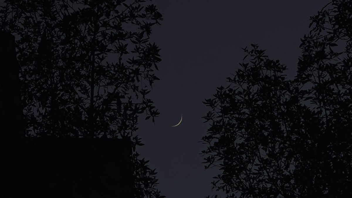 lsky38's tweet image. crescent Moon tonight 🌙
