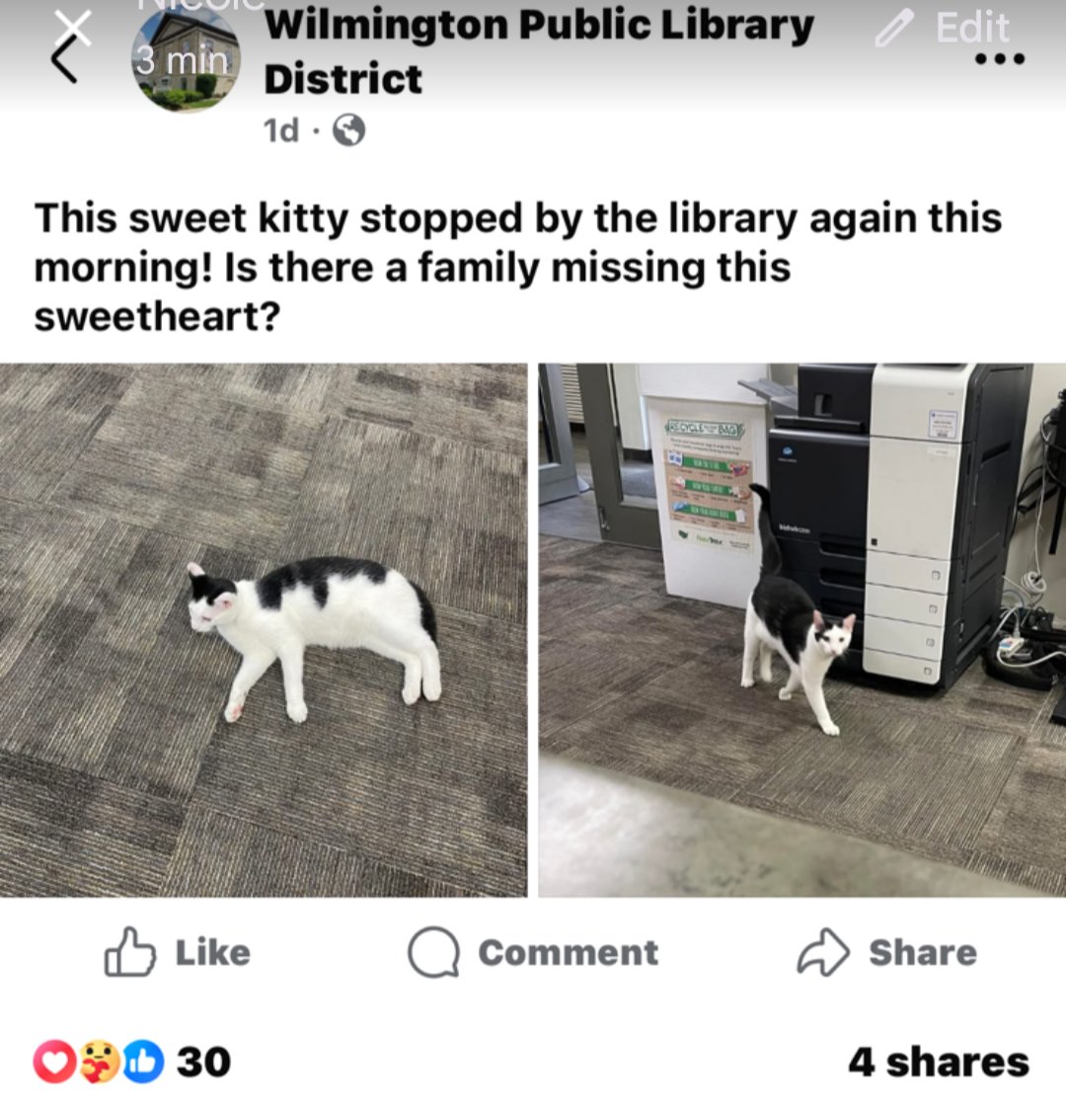 orb010's tweet image. Just found out our cat is an avid reader