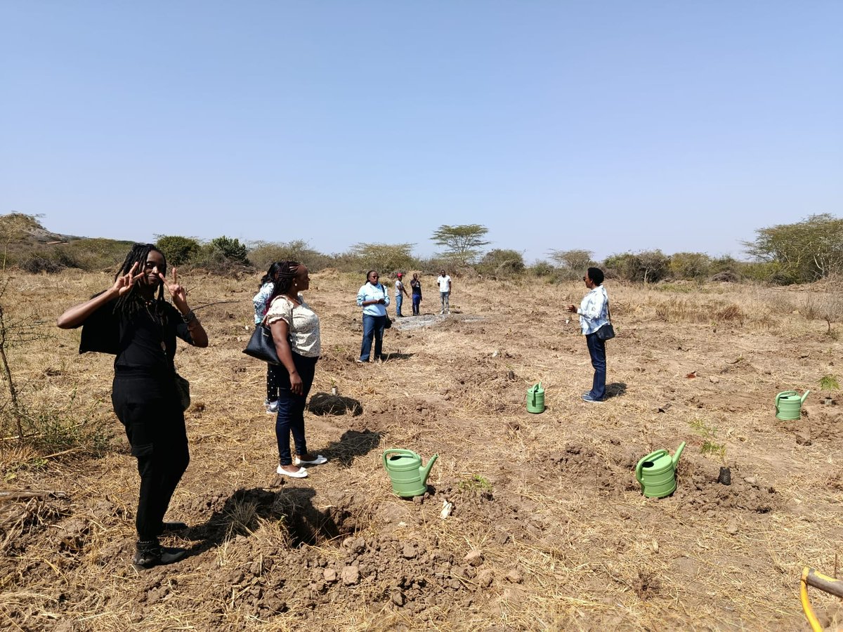 Put my 🎺 aside for a minute and did some tree planting today🌳✌🏿