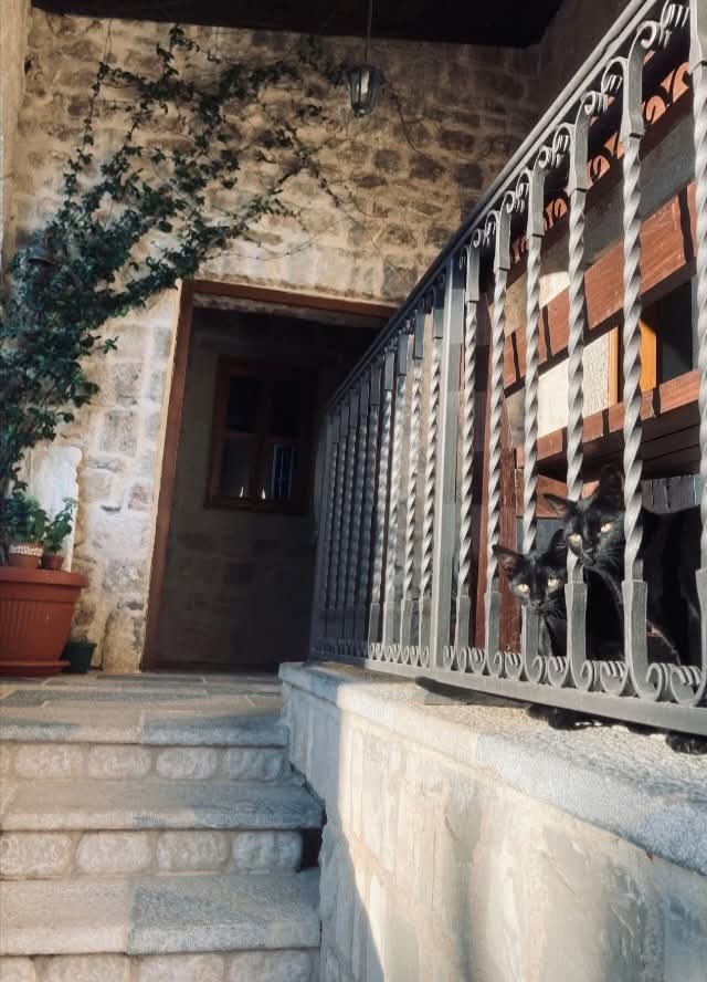 Sevastokrator3's tweet image. Стража у манастиру Стањевићи