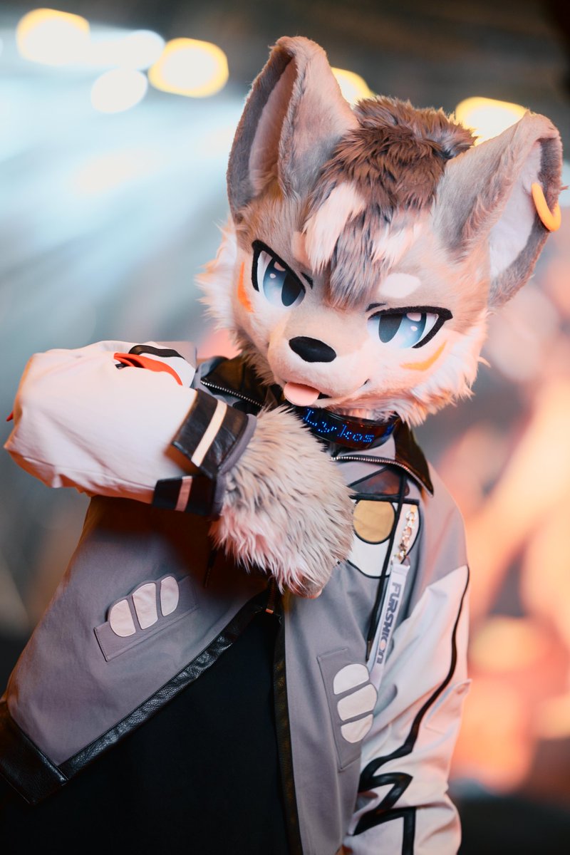 LYKOS_42's tweet image. #FursuitFriday  Vol.2

还是新衣服！
Still the new jacket!

📷：@DreameoL85783