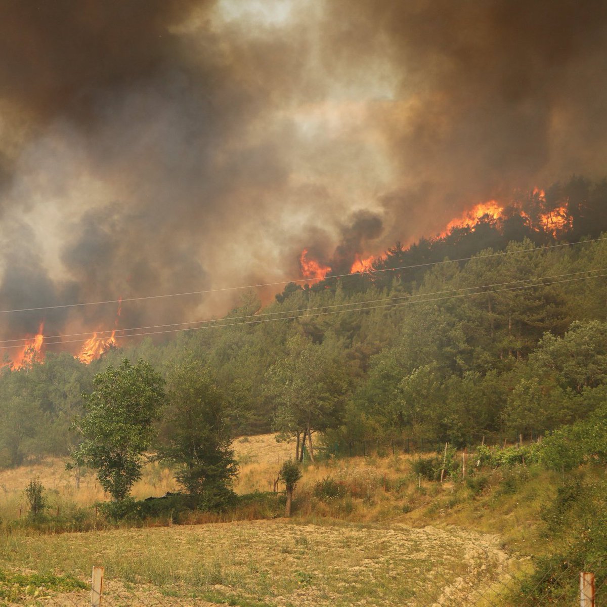 Başta #Karabük #Safranbolu'da devam eden yangın olmak üzere, ülkemizin çeşitli noktalarında çıkan yangınlardan etkilenen tüm vatandaşlarımıza geçmiş olsun dileklerimi iletiyorum.

Allah ülkemizi her türlü afetten ve felaketten korusun.

#yangın