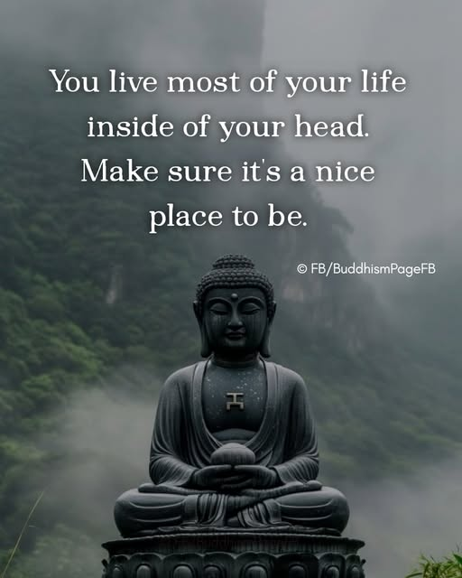 pacem_sivis's tweet image. 