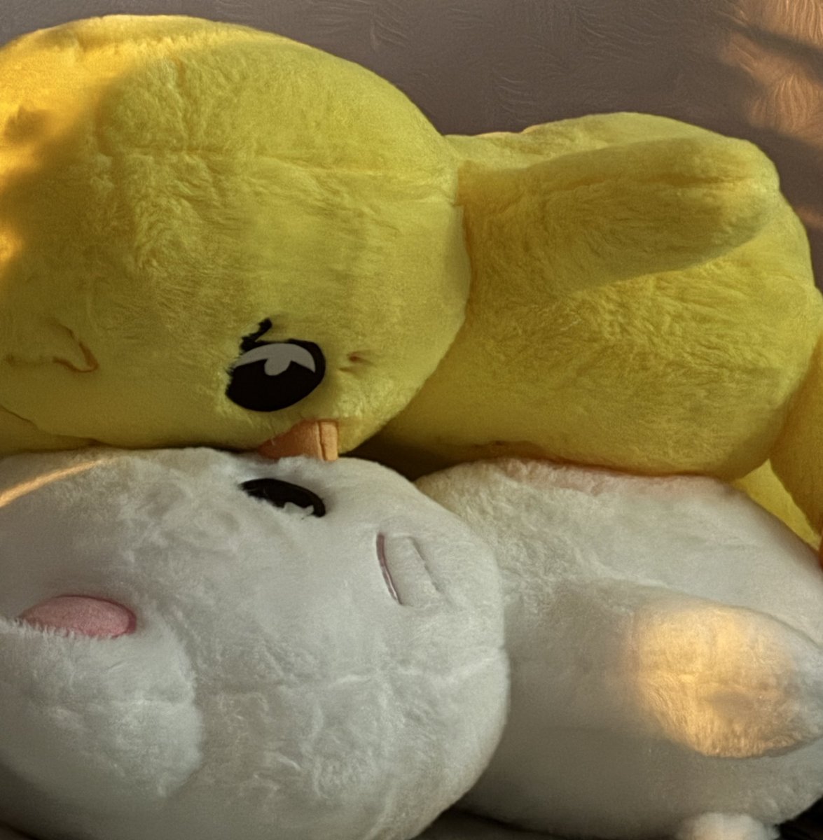 evgmonn's tweet image. good night guys
(manifesting for a lot of hyunlix moments in parisπ€π»)