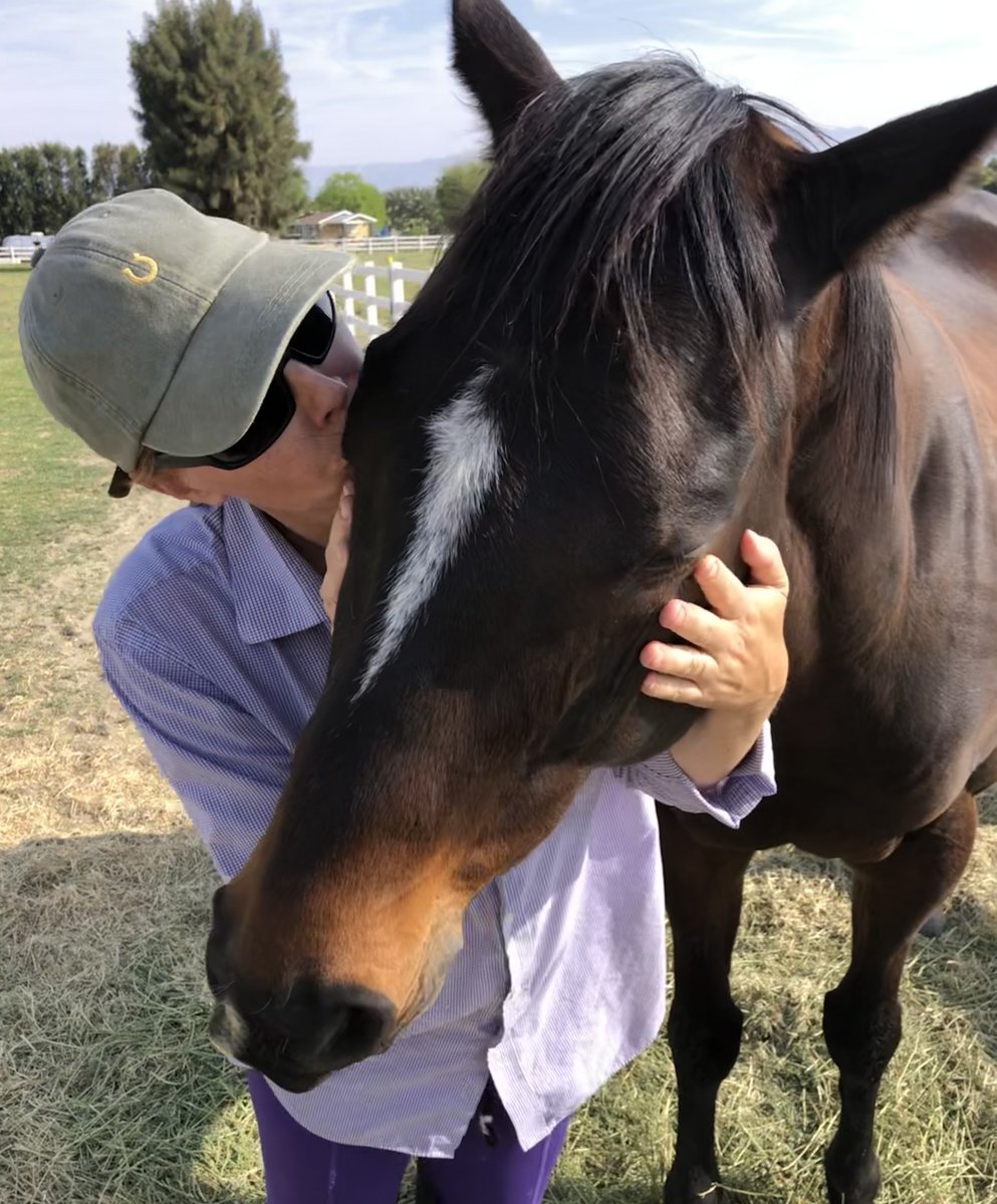 GloriousAllianc's tweet image. Talks overheard in our pasture:
K: You cannot take DV's knick knacks and think there won't be consequences, Son. Yes, she hired a bird to chase and peck at you. So don't take her knick knacks anymore.
Nileist: But I want her knick knacks.
K: Then chasing and pecking you will…