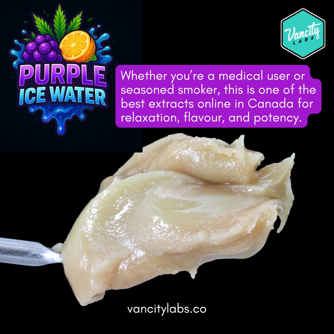 🔥 Whether you're a medical user or a seasoned smoker, this extract delivers top-tier relaxation, flavour, and potency. One of the best in Canada 🇨🇦 — hands down.

🌐  vancitylabs.co/product/purple…

🧠💨 #CannabisExtract #MedicalCannabis #WeedLovers #CanadaCanna #RelaxWithCannabis
