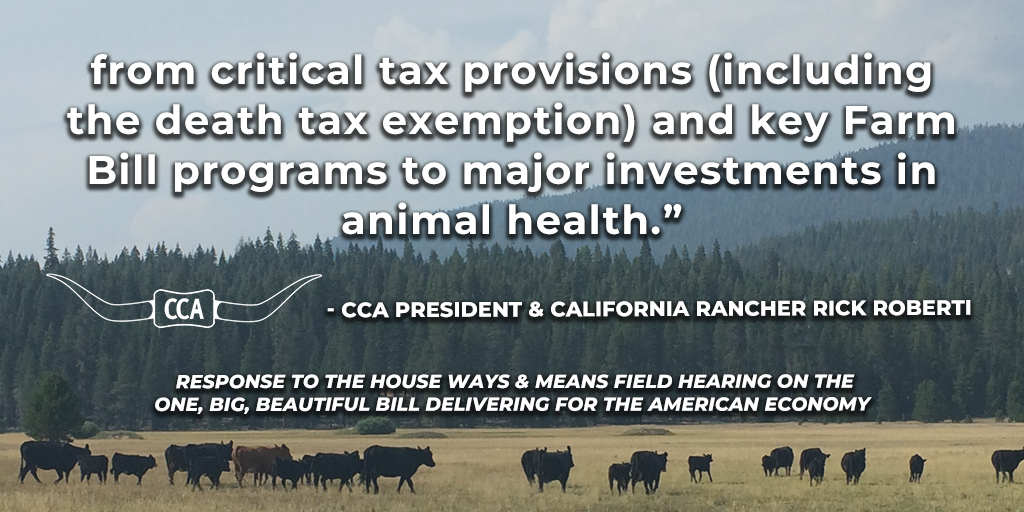 California Cattlemen’s Association (@calcattlemen) on Twitter photo Thank you to Chairman <a href="/RepJasonSmith/">Rep. Jason Smith</a> and the <a href="/WaysandMeansGOP/">Ways and Means Committee</a> for hosting this field hearing and inviting California cattle rancher Kevin Kester to share how the Big Beautiful Bill wins will directly support farming and ranching families for generations to come. Thank you to Chairman <a href="/RepJasonSmith/">Rep. Jason Smith</a> and the <a href="/WaysandMeansGOP/">Ways and Means Committee</a> for hosting this field hearing and inviting California cattle rancher Kevin Kester to share how the Big Beautiful Bill wins will directly support farming and ranching families for generations to come.
