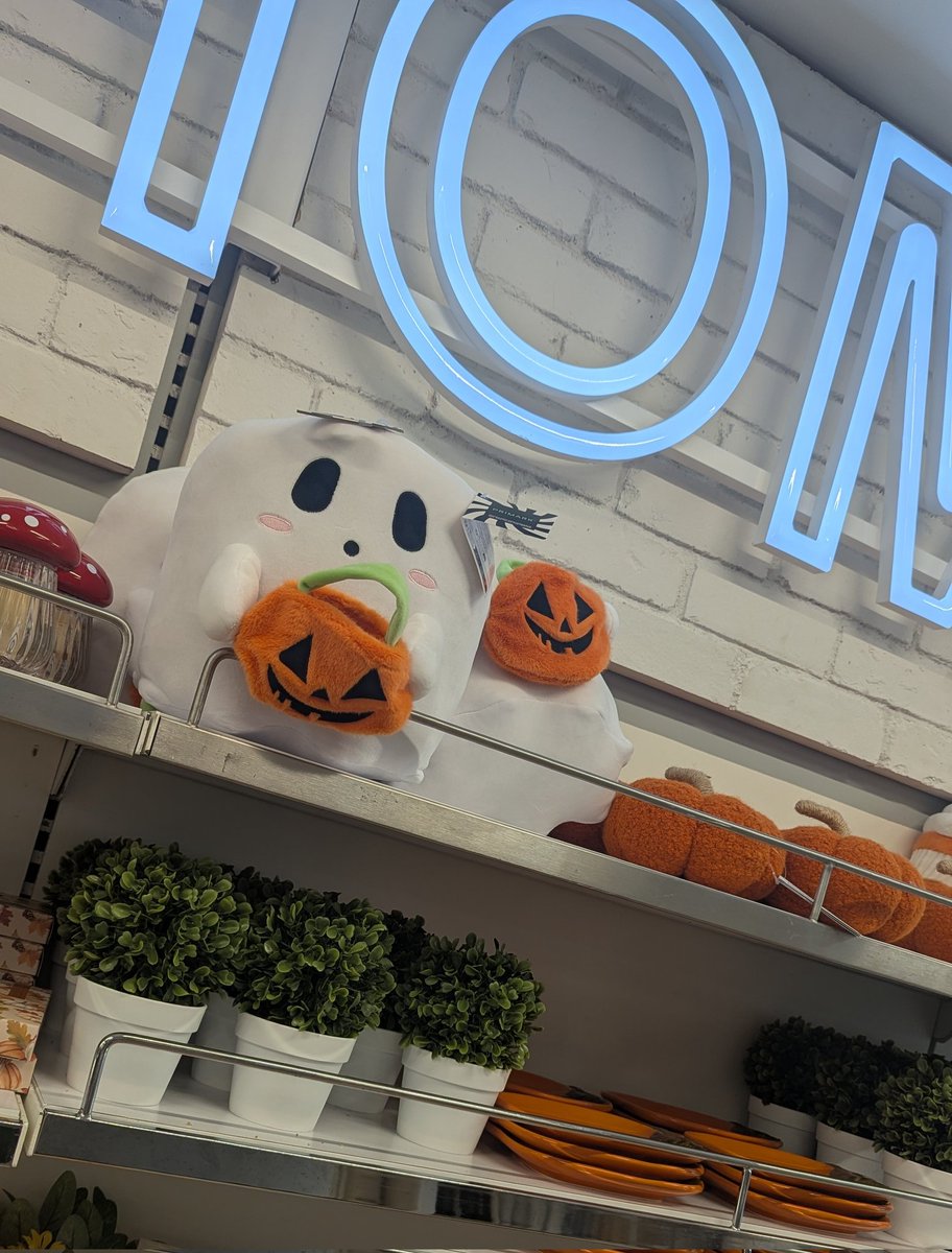 School's out for summer! Must be nearly Halloween?! 🎃🤷🤷🤦 <a href="/Primark/">Primark</a>