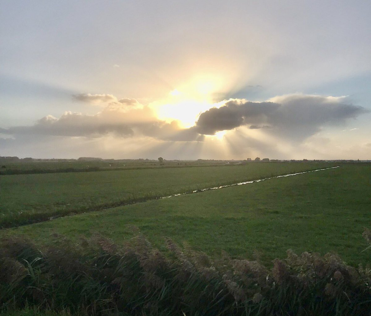 Eens zal op de grote morgen,
klinken het bazuingeschal,
dan zal Jezus wederkomen,
als de rechter van ’t heelal.

Wie zal op die grote morgen,
buigen voor die Majesteit?
Wie zal op die grote morgen,
vluchten voor die heerlijkheid.

Een fijne avond en een goede #Zondag toegewenst.