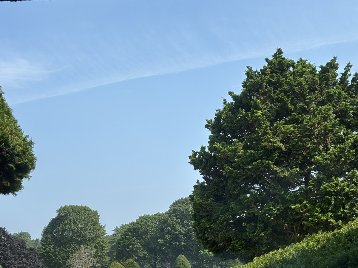 sub__tara's tweet image. bad air quality today!
