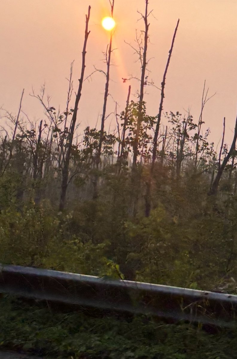 sub__tara's tweet image. bad air quality today!