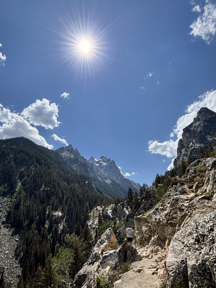 halflawless's tweet image. Come with me up the mountain
