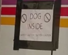 virtuallytori's tweet image. buck got that dawg in him #confirmed