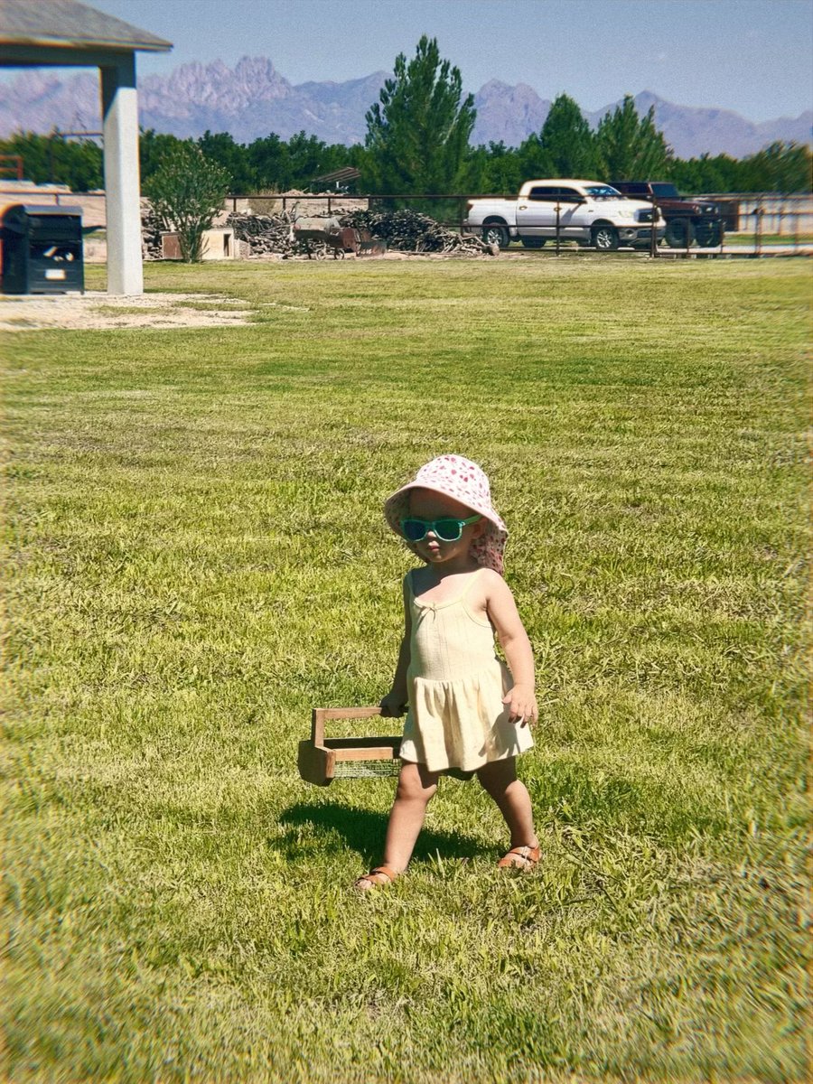 Dr. Kathleen E. Padilla tweet media