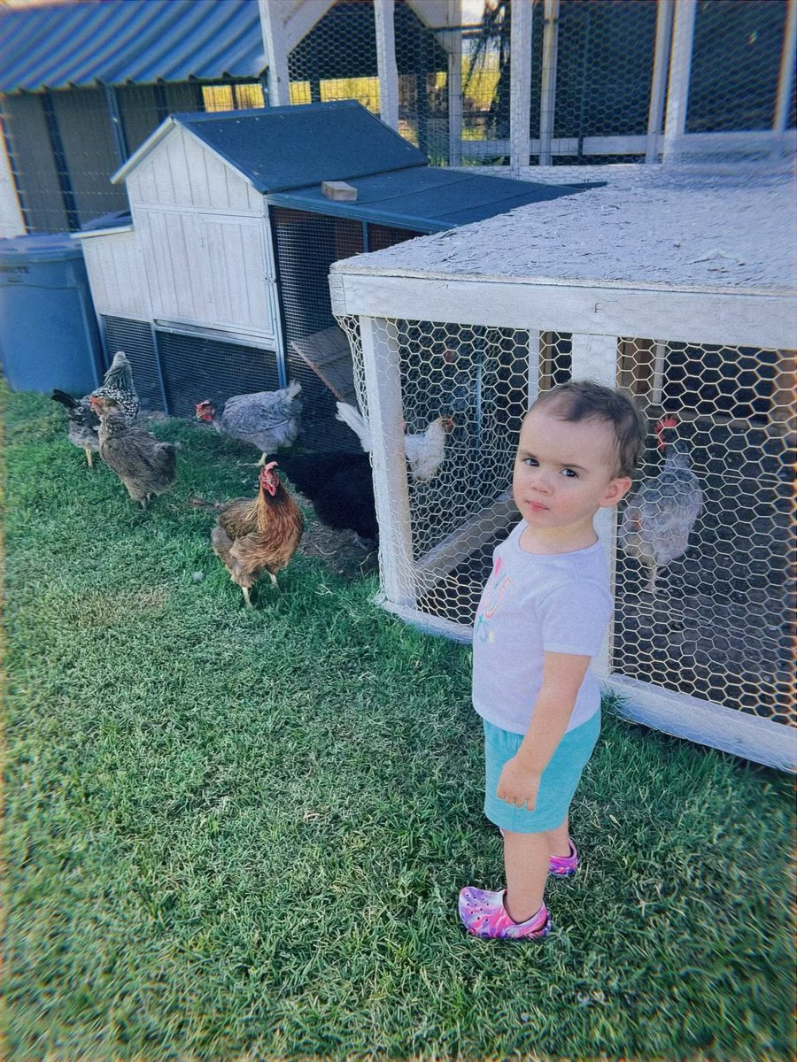 Dr. Kathleen E. Padilla tweet media