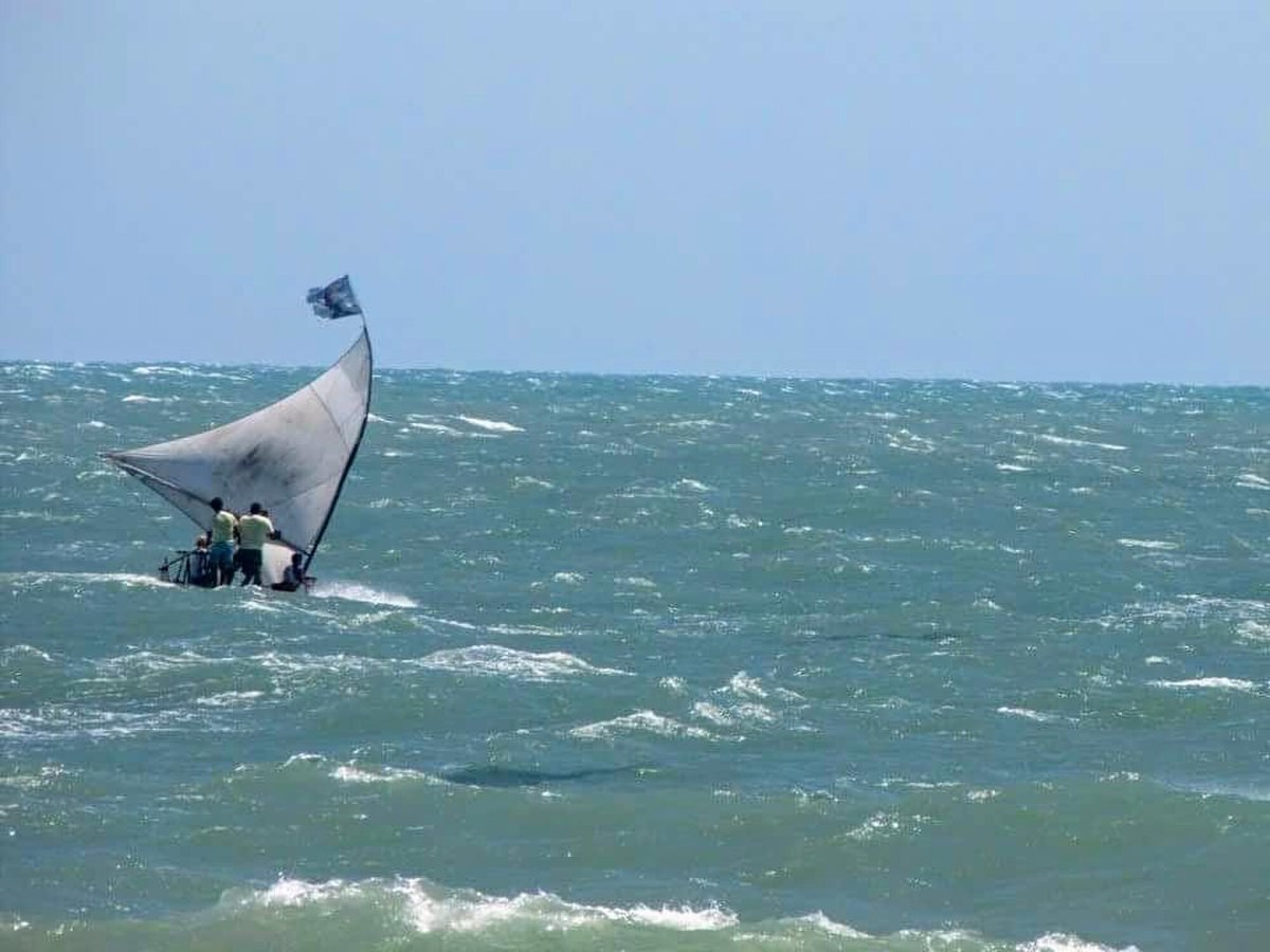 HummedKnoll's tweet image. 