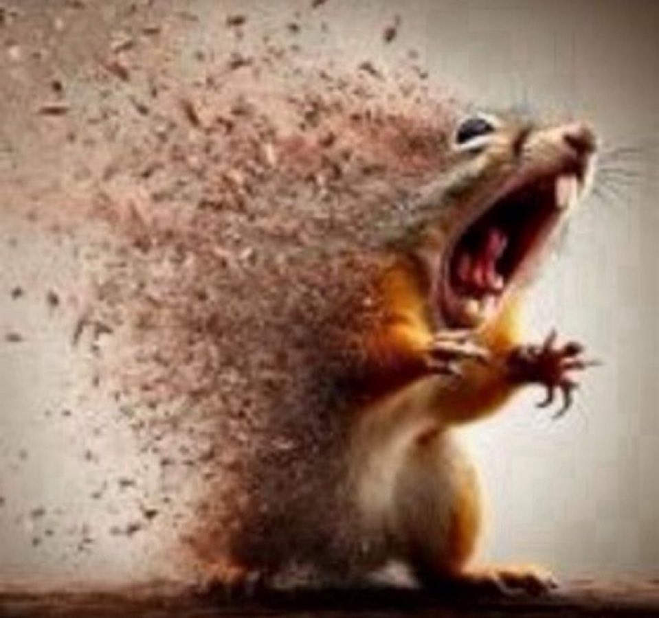 can someone redraw this as momonga