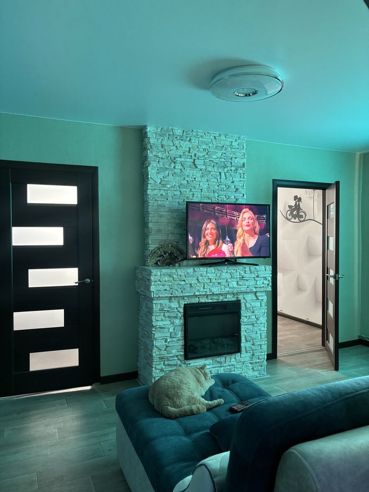 olxpets's tweet image. 
