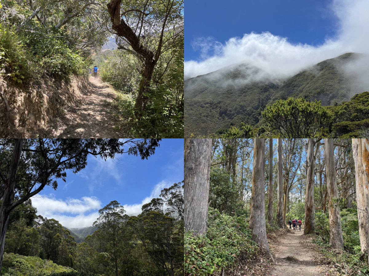 Do you have a nearby place that makes you feel like you’re at a distant location?

“Trail Transport” Insights:

hikingautism.com/insights--hike…

#hiking #nature #autism #disabilities #hope #walking #trails #california #outdoors #freshair #selfcare