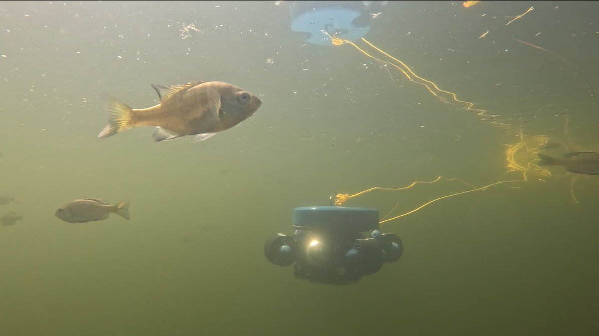 The fish aliens have landed. Dr. Mengxue Hou is testing a submersible drone outfitted with sensors at one of our study sites. sites.nd.edu/roarlab/