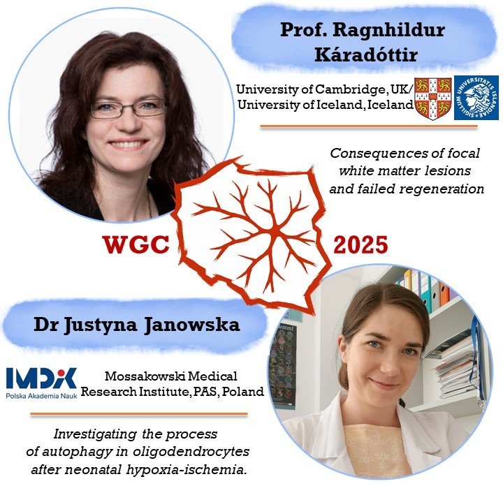 More top-tier speakers for our oligodendrocyte session!
Meet Prof. Káradóttir, expert on neuronal regulation of oligodendrocyte precursors and myelin repair, and Dr. Janowska, sharing new insights on autophagy in oligodendrocytes after neonatal hypoxia-ischemia.

#WGC #GLIA