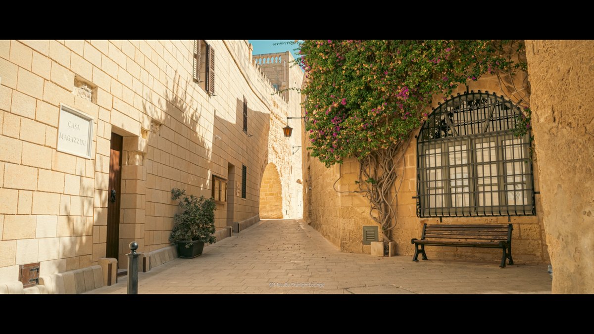 Masa8a's tweet image. 