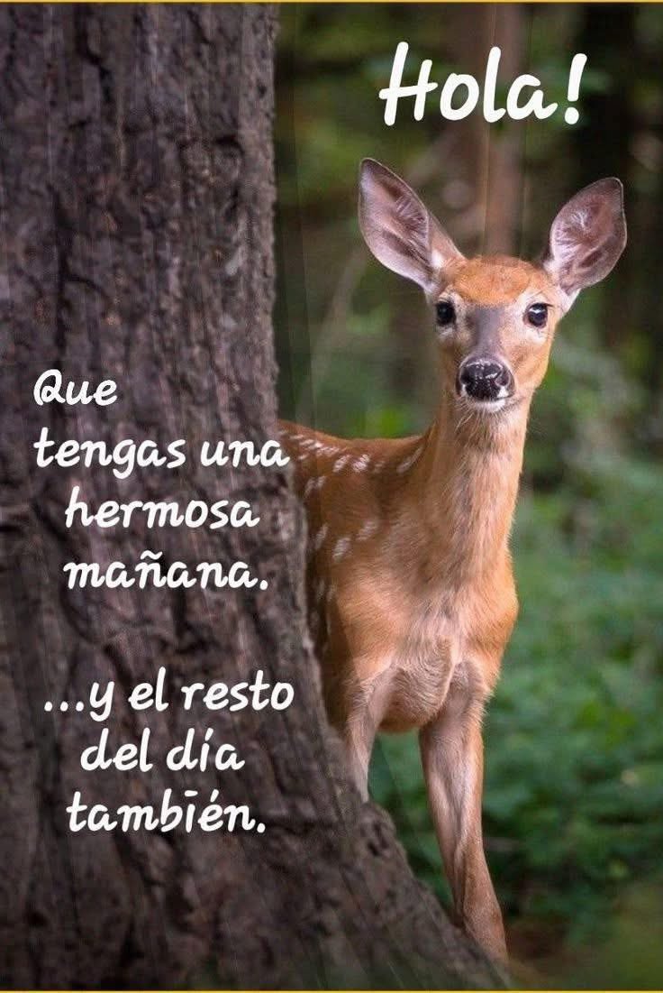 Cielo_DMaria's tweet image. 😘😘😘😘