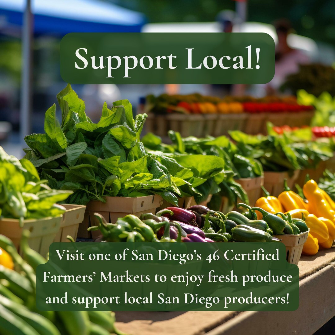SanDiegoCounty's tweet image. Go Fresh This Summer! 🍊🥬
Did you know San Diego County has more certified organic growers than any other county in the state?
Buy seasonal, organic, fresh produce at a certified farmers' markets!
Find your local farmers' market here 👉 bit.ly/3I8dOXO